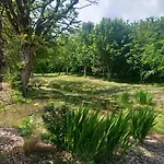 Hemma Grove - A Songbird Haven * Kilkenny