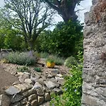 Hemma Grove - A Songbird Haven *