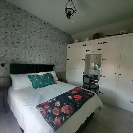 Hemma Grove - A Songbird Haven Kilkenny