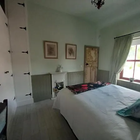 Hemma Grove - A Songbird Haven * Kilkenny