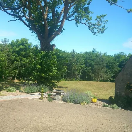 Hemma Grove - A Songbird Haven Holiday home