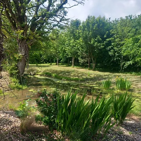 Hemma Grove - A Songbird Haven * Kilkenny