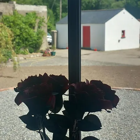 Hemma Grove - A Songbird Haven