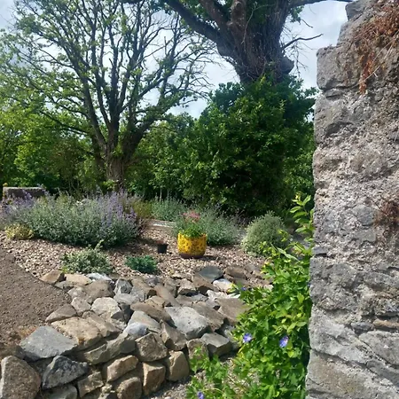 Hemma Grove - A Songbird Haven *