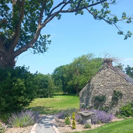 Hemma Grove - A Songbird Haven Dom wakacyjny
