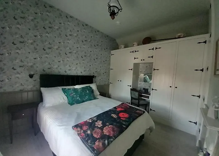 Hemma Grove - A Songbird Haven 基尔根尼