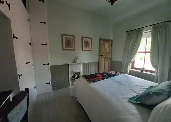 Hemma Grove - A Songbird Haven * Kilkenny