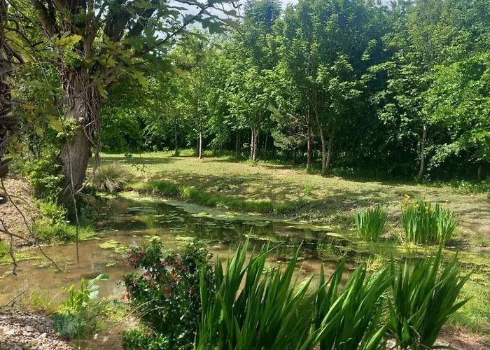 Hemma Grove - A Songbird Haven * 基尔根尼