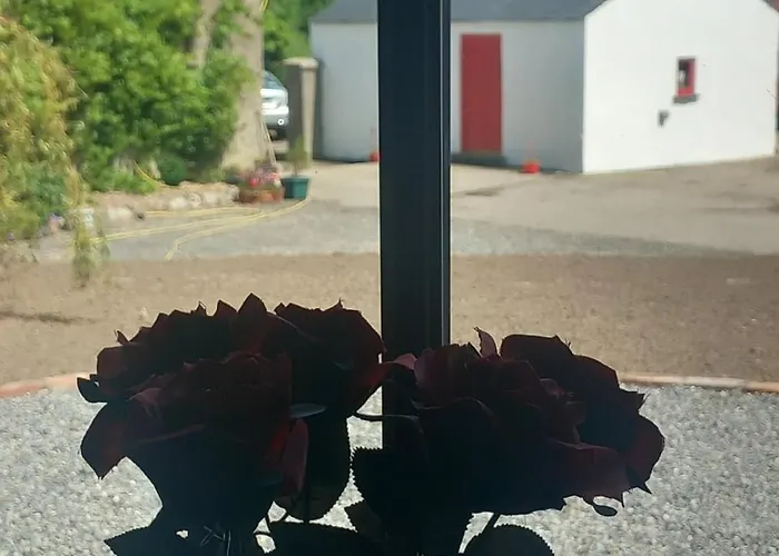 Hemma Grove - A Songbird Haven