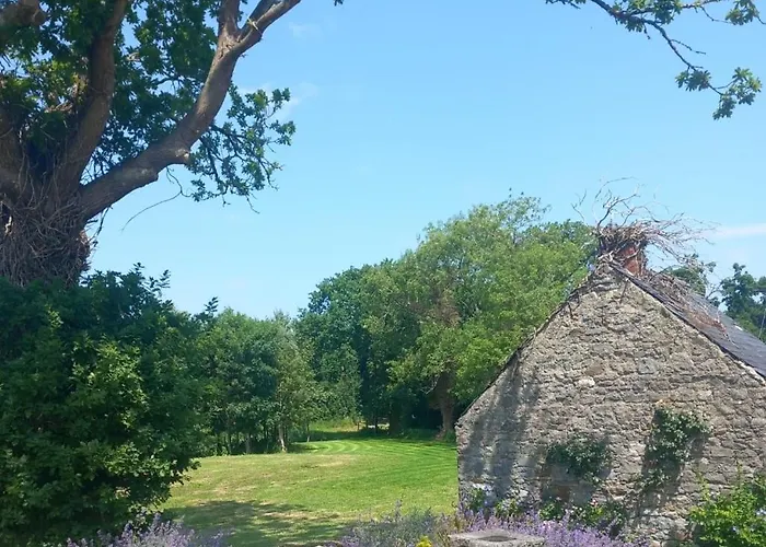 Hemma Grove - A Songbird Haven בית נופש